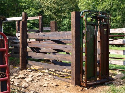 <b>Cattle</b> <b>headgates</b> for large and small sized <b>cattle</b>. . Used cattle head gates for sale craigslist near illinois